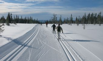 Image Initiation au ski de randonnée nordique dans le Queyras