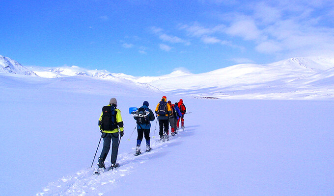 Image Laponie suédoise : la piste Royale en raquettes