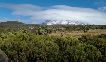 Voyage à pied : Tanzanie : L\'Ascension du Kilimandjaro par la voie Machame