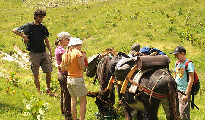 Randonnée avec ânes en Chartreuse