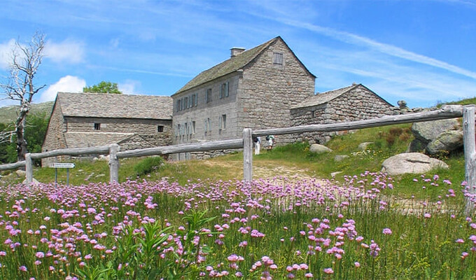 Image Chemins de Saint Jacques : randonnée du Puy-en-Velay à Aumont-Aubrac