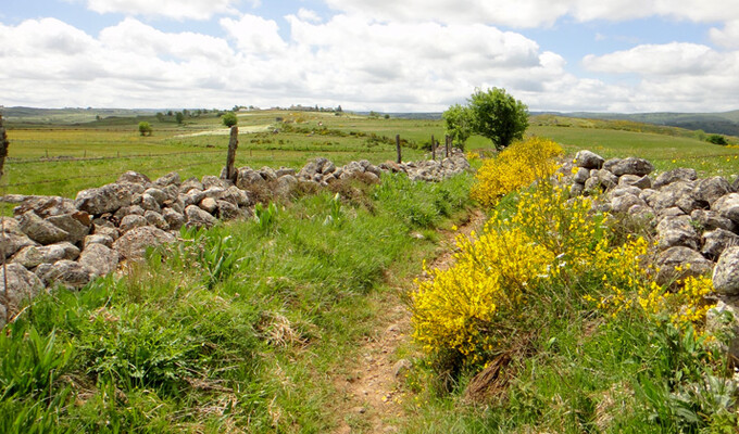 Image Le Tour du Cotentin