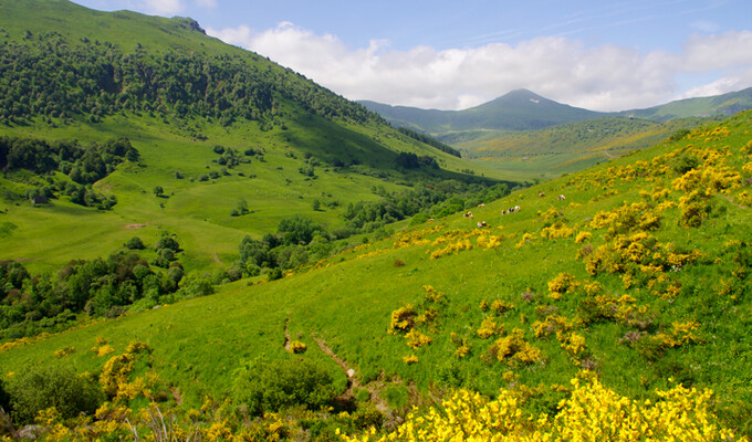 Image Randonnée dans le parc naturel des volcans d'Auvergne