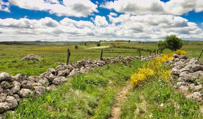 Trek dans l'Aubrac