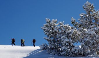 Voyage ski de fond / ski nordique - Ski de fond à Autrans-Méaudre en Vercors