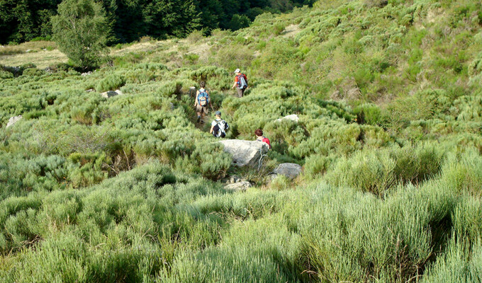 Image Séjour randonnée au cœur des volcans du Cantal