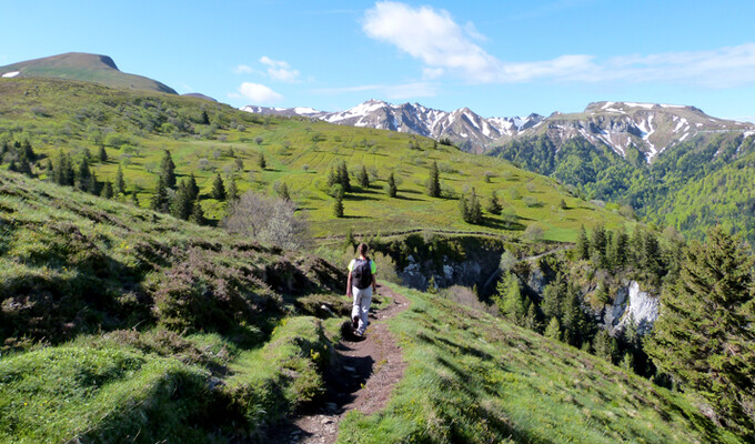 Image Balade et Bivouac avec un âne entre Vercors et Diois