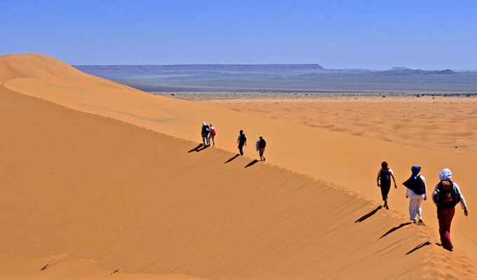 Image Dunes et Oasis du sud marocain