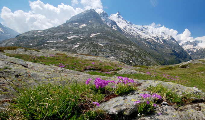 trek savoie