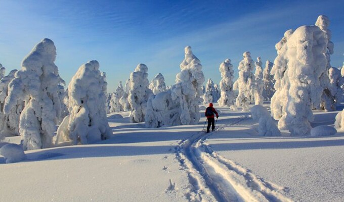 Image Sjusjoen, ski sur les traces des champions