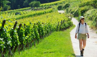 Image L'Alsace à travers vignes et villages