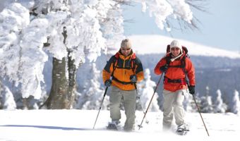 Voyage à la neige : Traversée de la Haute Forêt-Noire à ski de fond