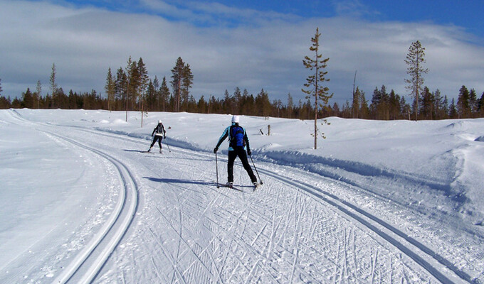 Image Sjusjoen, ski sur les traces des champions