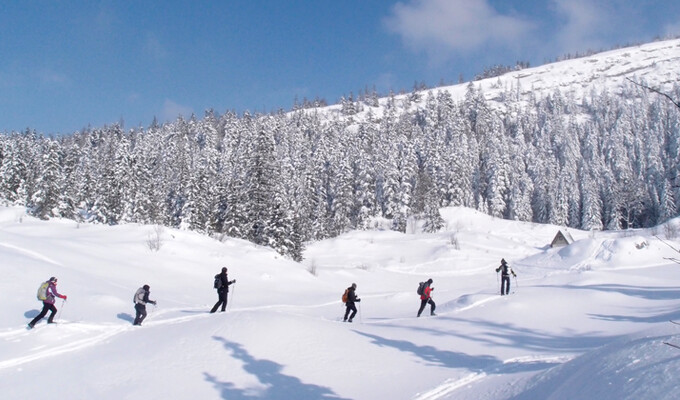 Image Initiation au ski de randonnée nordique dans le Queyras