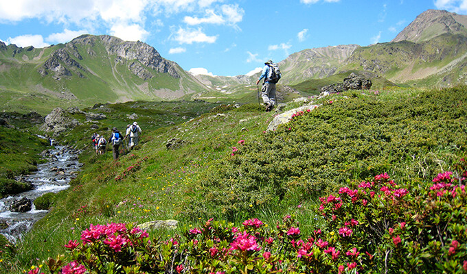 Image Val d'Aoste et Cervin en étoile