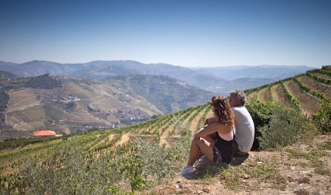 Vignobles vallée du Douro