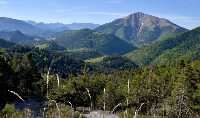 Image Les Balcons du Queyras en étoile