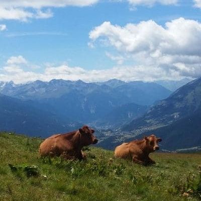 Grande Traversée des Alpes, de Chamonix à la Haute Maurienne