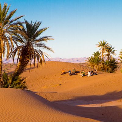 Dunes et Oasis du sud marocain