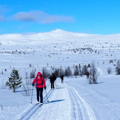 Séjour ski de fond à Venabu