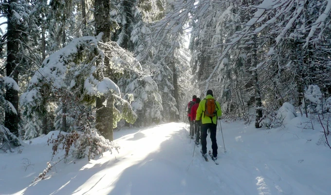 Initiation au Ski de Randonnée Nordique dans le Vercors