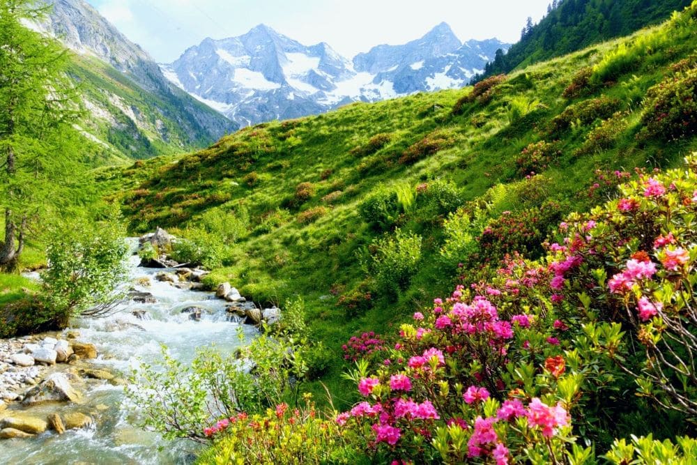 Torrent dans la Zillertal
