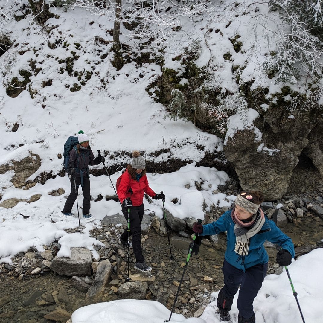 Traversée de ruisseau © Adrien Ozanon