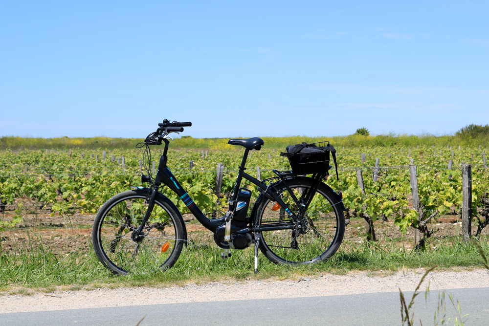 Vélo devant la vigne © Florian Calvat
