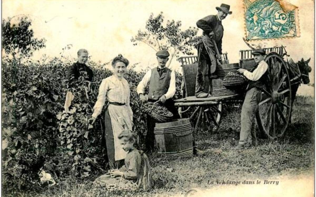 Vendanges d'autrefois