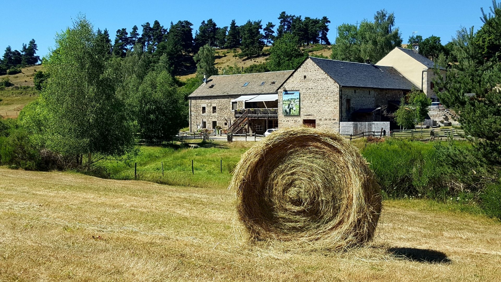 Trek - Randonnée en Margeride au cœur du Gévaudan et de l\'Aubrac