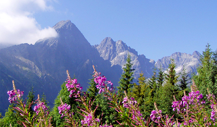 Trek - Pologne : Cracovie et les Tatras