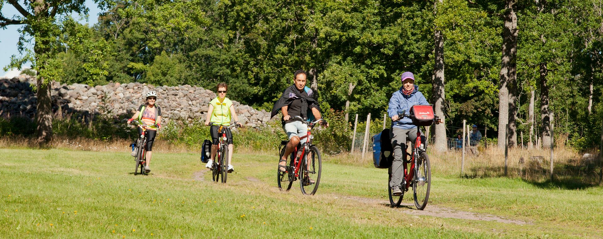 Image Vélo à travers les îles Lofoten