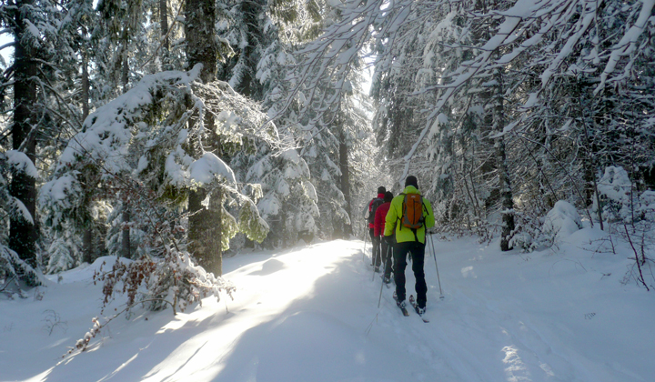 Groupe de randonneurs à ski nordique dans le Vercors