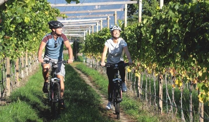 Voyage à vélo - Le Neckar, entre vergers et vignobles