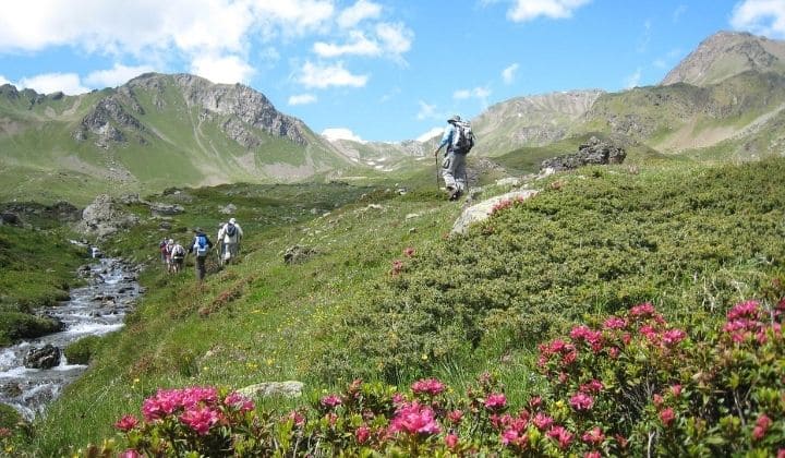 Trek - Tour du Grand Paradis