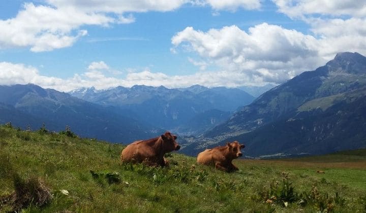 Voyage à pied : Grande Traversée des Alpes, trek de la vallée de Chamonix-Mont Blanc à la Haute Maurienne