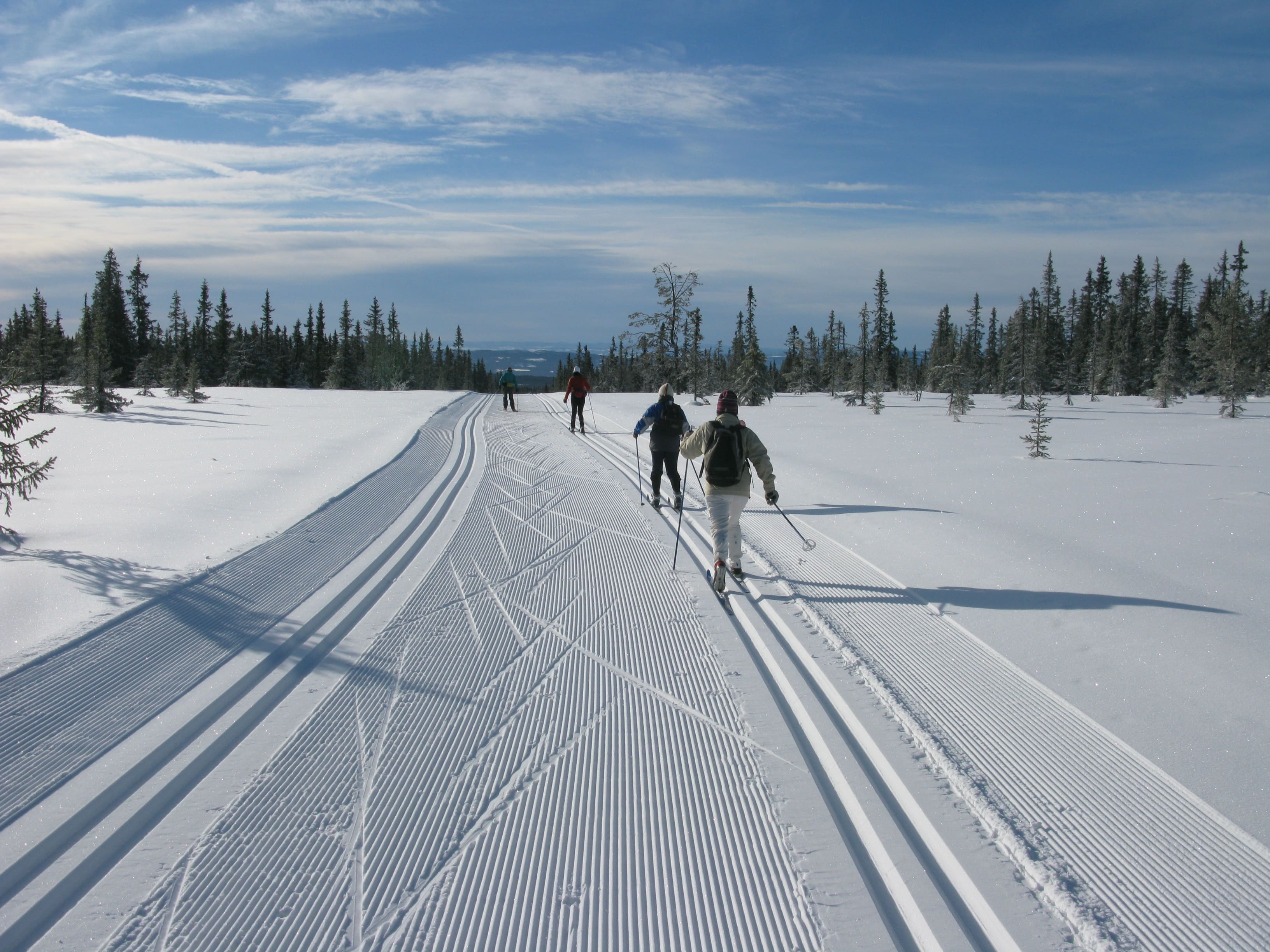 Voyage ski de fond / ski nordique - Sjusjoen, ski sur les traces des champions