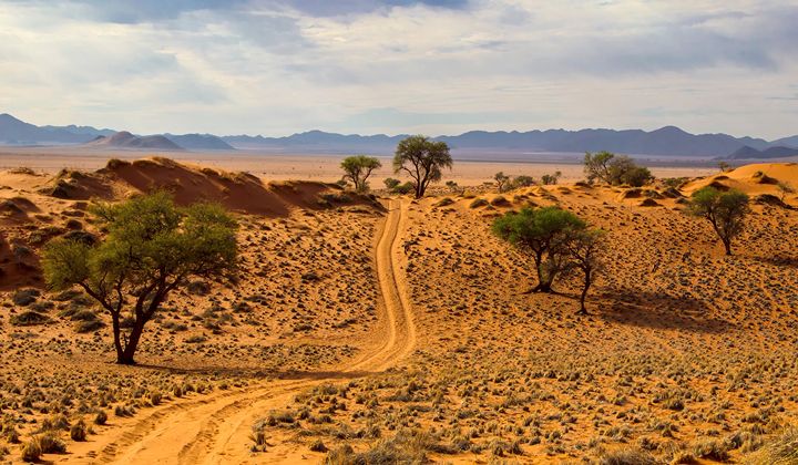 paysage de namibie