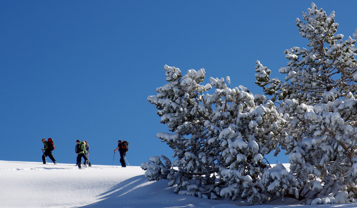 Randonnée en raquettes sur l'alpage de la Molière dans le Vercors