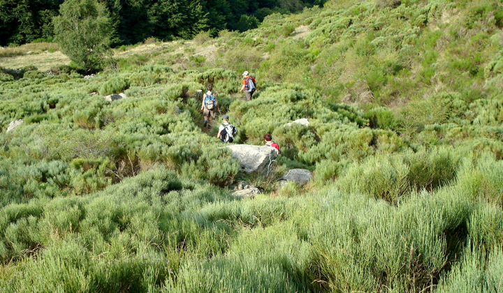 Trek - Parc naturel des Monts d\'Ardèche, Retrouvance®