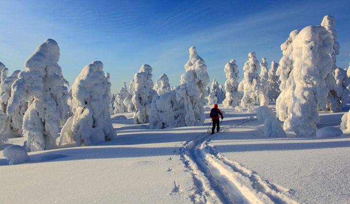 Randonnée à ski dans le parc de Pallas-Yllästunturi
