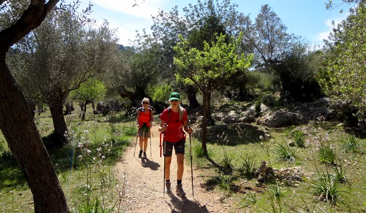 Trek - Espagne : Majorque lumineuse et secrète