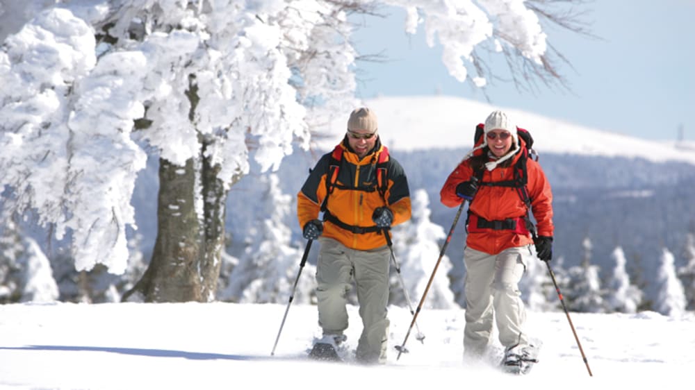 Randonnée en Raquettes à Neige - Forêt Noire en Allemagne