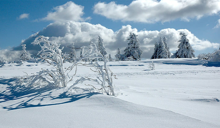 Voyage à la neige : France : Réveillon raquettes dans les Vosges