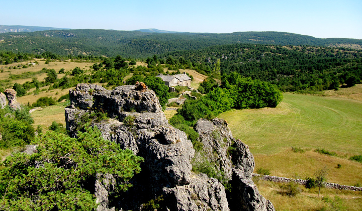 Trek - Entre Grands Causses et Cévennes