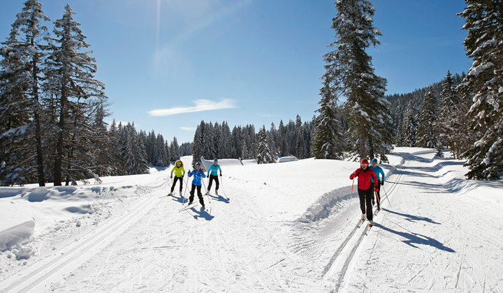 Ski de fond à Autrans-Méaudre