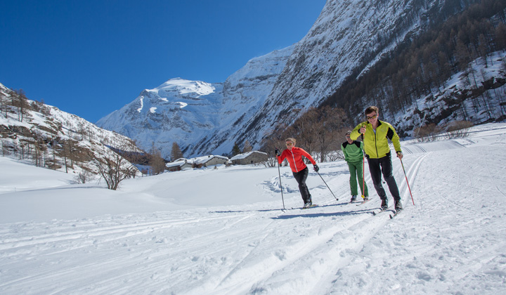 Voyage ski de fond / ski nordique - Haute Maurienne - Vanoise : ski de fond et environnement à Bessans