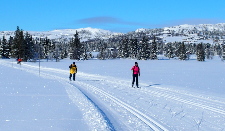 Ski de fond à Golsfjellet