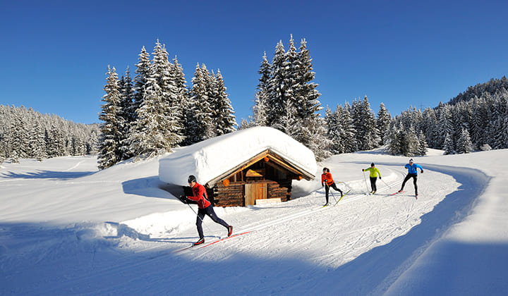 Voyage ski de fond / ski nordique - Leutasch et le plateau olympique de Seefeld