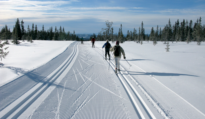 Ski de fond à Sjusjøen